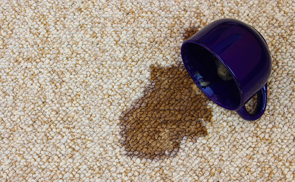 Importance Of Having A Professional Carpet Cleaning